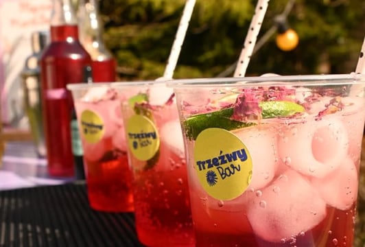 Trzeźwy Bar na EkoBazarze vol. 2 - Warsztaty z Komponowania Drinków 0%