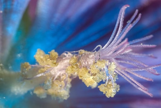 Wolinska_A-Different-Kind-of-Order_4A