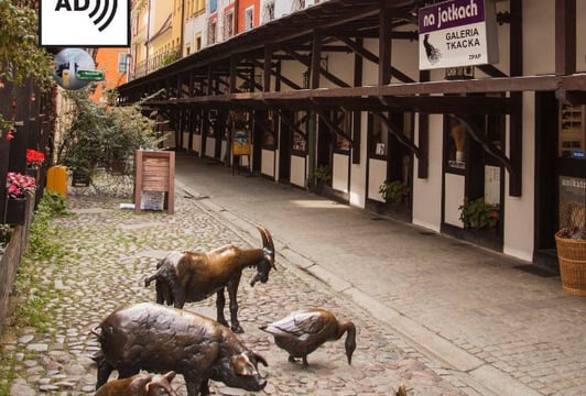 Szemrana uliczka, czyli przygoda na Odrzańskiej – spacer z audiodeskrypcją. 29.09, godzina 11:00.