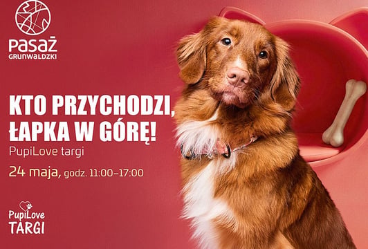 Gwiezdne emocje, targi dla pupili i nowe zawodowe szanse.  Pełen atrakcji maj w Pasażu Grunwaldzkim.