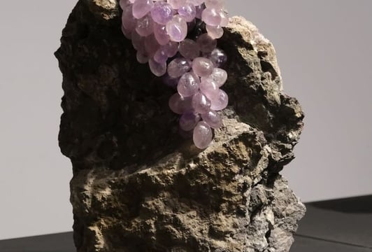 Owoce „Ziem Rzadkich” - wystawa rzeźb i makrofotografii w Muzeum Mineralogicznym UWr.