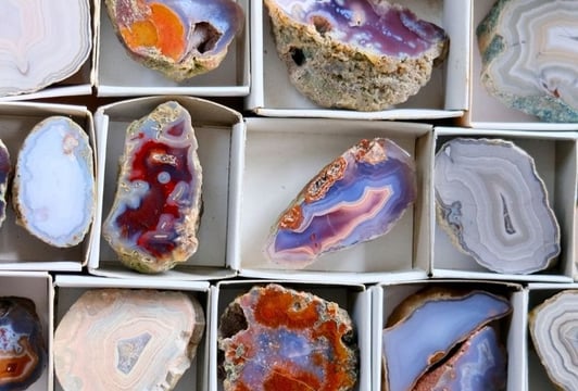 Owoce „Ziem Rzadkich” - wystawa rzeźb i makrofotografii w Muzeum Mineralogicznym UWr.