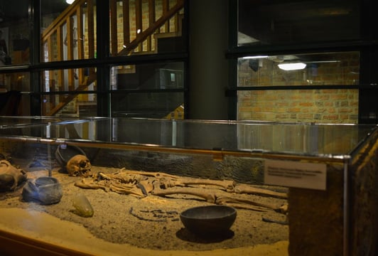 Wystawa Archeologia Śląska
