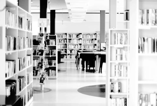 Biblioteka przy ul. Serbskiej