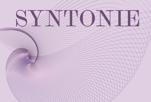 WTARGNIĘCIA - Performans muzyczny realizowany w ramach projektu Syntonie