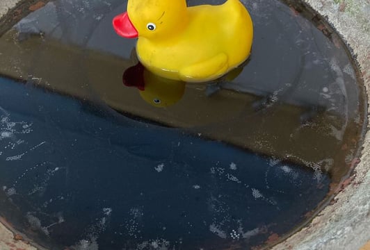 Andreea Anghel „Widmo na uczcie"