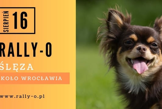 Zawody Rally-o