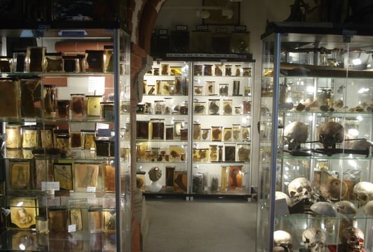Muzeum Medycyny Sądowej przy Katedzre Medycyyny Sądowej UM we Wrocławiu
