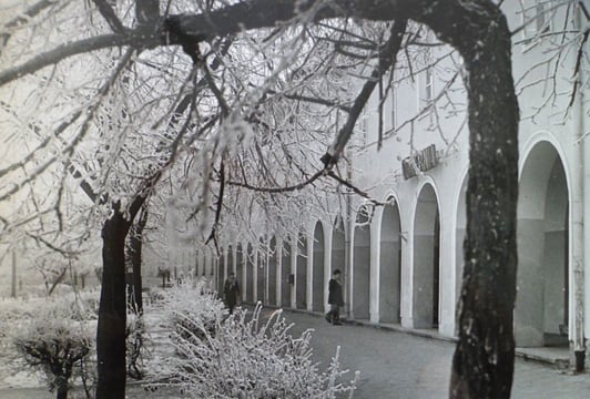 Osiedle Bloki w Ciechanowie (wcześniej Gartenvorstadt Zichenau), lata 80. XX w., ze zbiorów Powiatowej Biblioteki Publicznej im. Zygmunta Krasińskiego w Ciechanowie