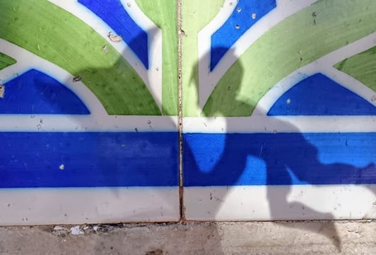 Kto to płynie na delfinie?