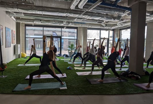 BULVARY Day - joga