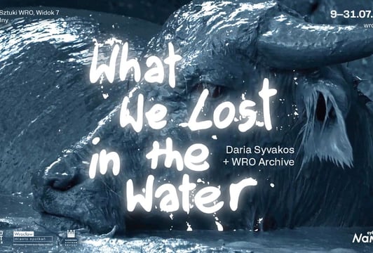 What We Lost in the Water, wystawa w Centrum Sztuki WRO