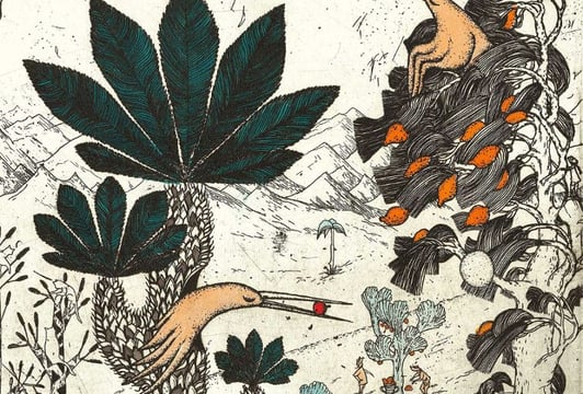 Sen Dzikich Ptaków, akwaforta, akwatinta, akwarela