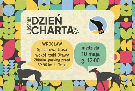 Wrocław - Wiosenny Dzień Charta - Charytatywny Spacer - Fundacja Chartoterapia