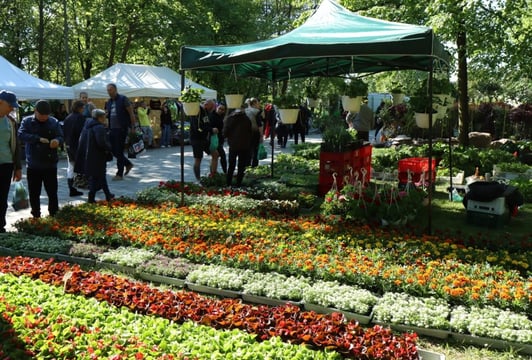 Kiermasz Ogrodniczy Wrocław 04.2024 r.