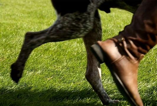 Maja Wolinska_A-Different-Kind-of-Order_11A