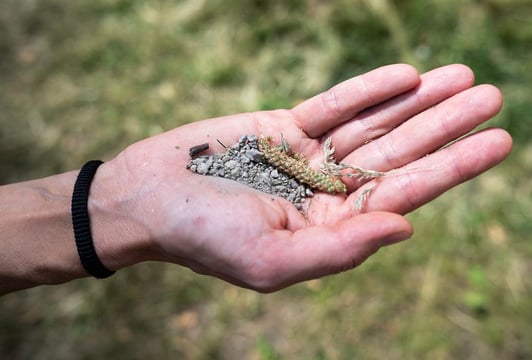 Pejzaż sąsiedzki – warsztaty rodzinne z Magdą Weber