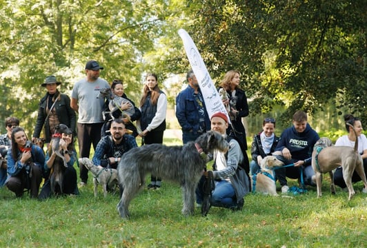 Wrocław - Wiosenny Dzień Charta - Charytatywny Spacer - Fundacja Chartoterapia