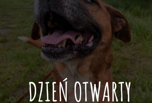 Dzień Otwarty EKOSTRAŻY  31.05.2026