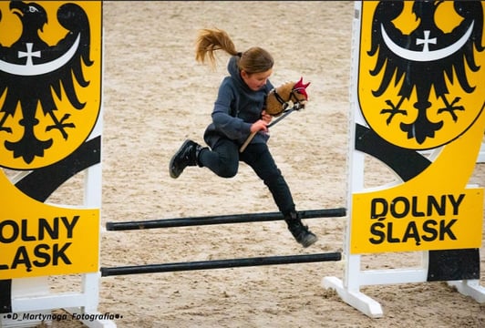 Zawody jeździeckie i Hobby Horse na Partynicach – Pro-Hippika