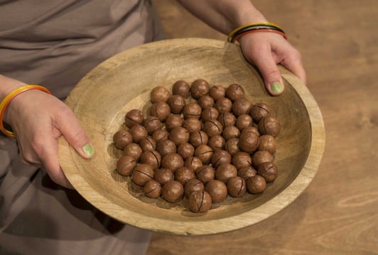 Dżungla / 0,5-2,5