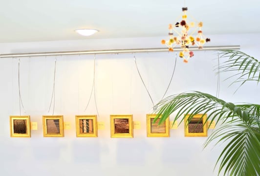 Kolory (z) Natury – wystawa tkanin artystycznych i pająków Marty Szloser barwionych roślinami