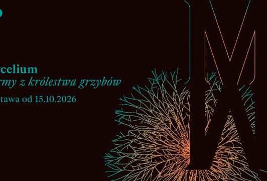 Mycelium. Formy z królestwa grzybów – wystawa