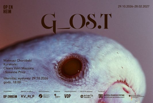 Wernisaż wystawy „G_OS.T” Mateusza Choróbskiego w OP ENHEIM