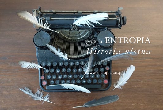 Galeria Entropia. Historia ulotna