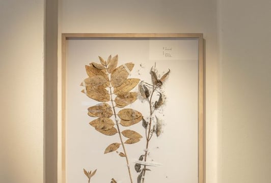 Na zdjęciu „Zielnik” Alevtiny Kakhidze