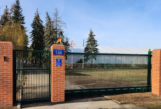 Wejście