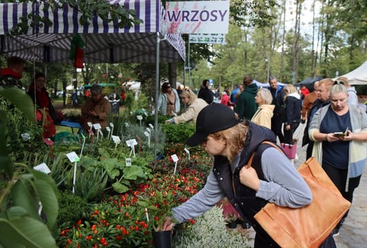 Pamiętajcie o ogrodach. Kiermasz Ogrodniczy na Partynicach