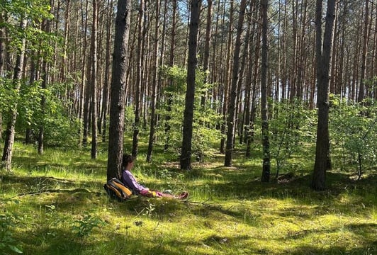 Wieczorna Kąpiel Leśna - Park Szczytnicki