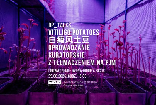 Oprowadzanie kuratorskie po wystawie „Vitiligo potatoes” w OP ENHEIM [z tłumaczeniem na PJM]