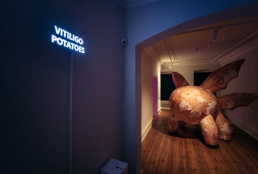 Widok wystawy „Vitiligo potatoes”