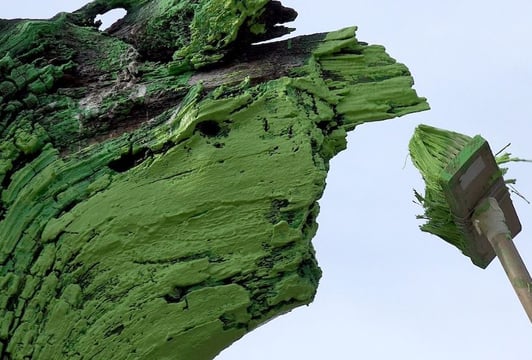 Żywy Pomnik Arena_materiały Galerii Entropia