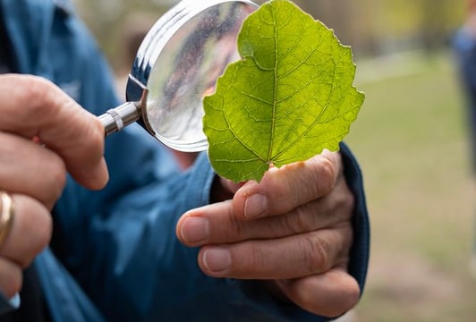 Biografie roślin – warsztaty przyrodnicze