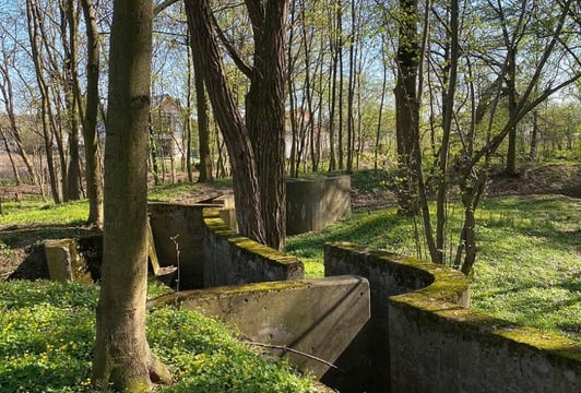 Betonowa pozycja strzelecka Fortu 6 Polanowice