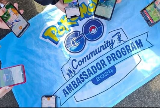 Grupa ambasadorska