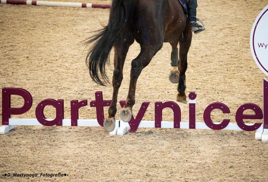 Zawody jeździeckie i Hobby Horse na Partynicach – Pro-Hippika