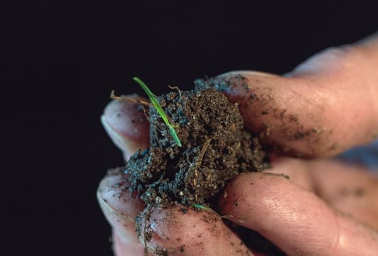 Wolinska_A-Different-Kind-of-Order_04