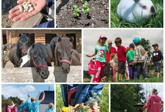 Wiosna na wsi - Chwalimierz