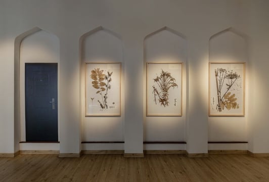 Na zdjęciu „Zielnik” Alevtiny Kakhidze