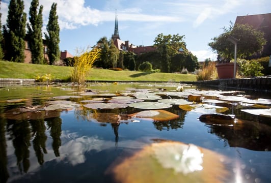 Ogród Botaniczny Wrocław
