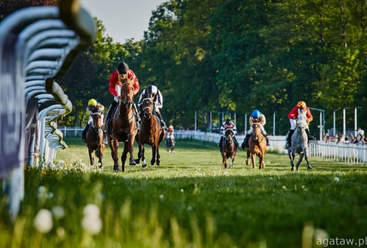 Drugi dzień wyścigowy na Torze Partynice
