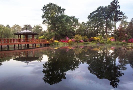Japanese Garden Wrocław
