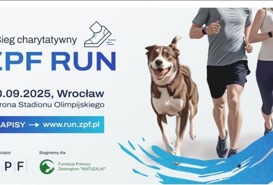4 Bieg charytatywny ZPF RUN dla Fundacji Pomocy Zwierzętom MATUZALKI