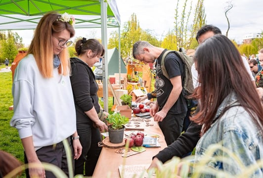Jesienne pikniki WROśnij we WROcław