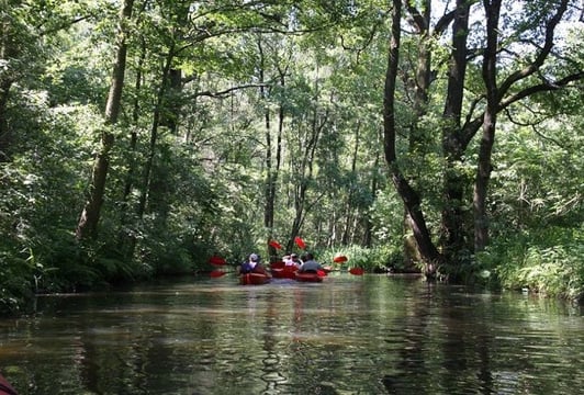 KayakTours.pl – spływ kajakowy – Barycz