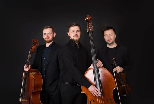 The String Trio